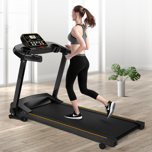 Cardio Equipment