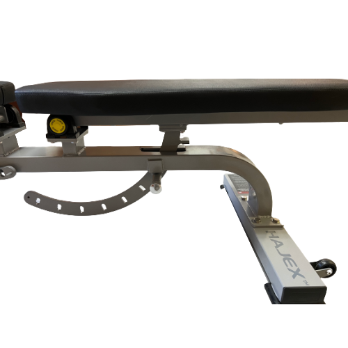 Image alt