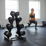Steel Dumbbell Racks Vertical & Horizontal (3, 6, 8, 10 Levels)